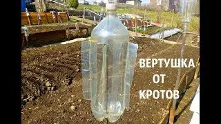 Как избавиться от кротов. ВЕРТУШКА ОТ КРОТОВ.  своими руками