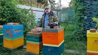 📕 Пчёлы не запечатали рамки с сиропом? - Выход есть! 📕