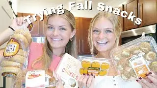 Trying Trader Joe's and Aldi Fall Snacks - 2024