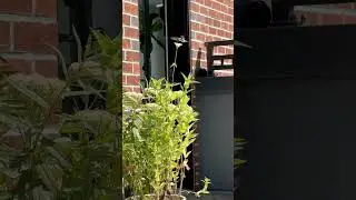 👀 SPOTTED! Special guest just flew in