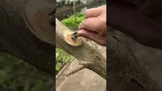 Remember This Trick to Tie Thin Steel Wires 🔩