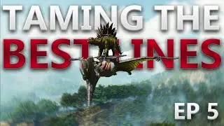 Getting The Best Lines on ARK Small Tribes