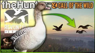 BEAN GOOSE Coming With FINLAND! Revontuli Coast New Species! Call of the wild