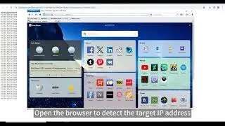how to use proxy server on palemoon browser