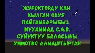 Журокторду кан кылган окуя Пайгамбарыбыз  МУХАММАД С.А.В. суйуктуу баласыны уммотко алмаштырган