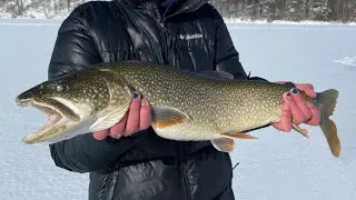 Ice Fishing for STUD Adirondack Lake Trout! (Crazy Shallow Water Bite)