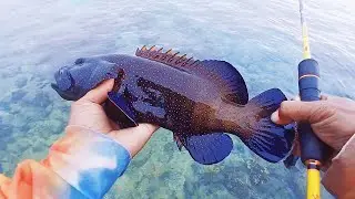 Jangan coba-coba lengah dengan tarikan ikan jenis ini || Ultraligh Casting