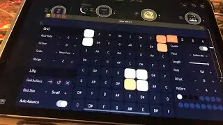 ZOA - Living MIDI Sequencer - Let’s Explore The Amazing Golden Ratio Feature - iPad Tutorial