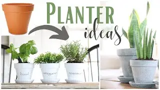 Planter Ideas ~ Cement Pots ~ Terracotta Pots ~ Aging Terracotta Pots ~ Herb Planters