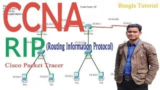 Configuring RIP on Packet Tracer Step by Step | Dynamic Routing using RIP (CCNA) | RIP Tutorial