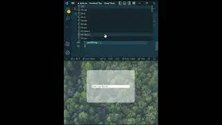 Html CSS Input 