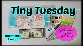 Tiny BUT Mighty Challenges | My Biggest Selling Item Give Away | Saving With A Purpose