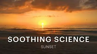 Soothing Science: The Light You See at Sunset