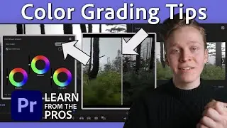 Learn Color Grading in Adobe Premiere Pro | Learn From the Pros with Aidin Robbins | Adobe Video