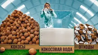 HOW MUCH SWEET WATER IS IN 1000 COCONUTS?
