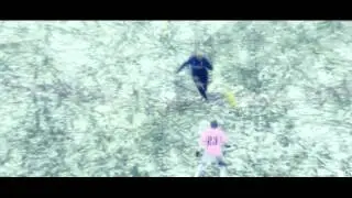 Diego Milito 22 - Prince of Milan - 2011/12 HD