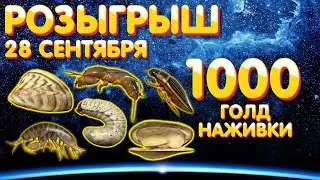 1000 голд наживки РОЗЫГРЫШ 🎁 28 сентября 🎁 Русская Рыбалка 4