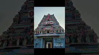 vadapalani Murugan temple #murugan #vadapalanimurugantemple #யாமிருக்க பயமேன்