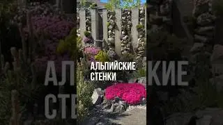 Альпийские стенки. 