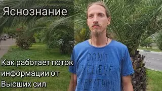 Яснознание. Информация идущая с тонкого мира. Принцип работы. Распаковка потоковой информации.