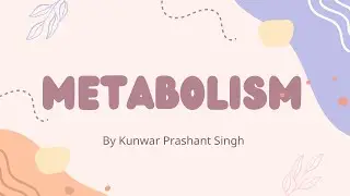 What is metabolism ?? Explained in simple language || Kunwar Prashant Singh