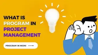 What is Program in Project Management? [Hindi] | Program in Project Management | Techmoodly