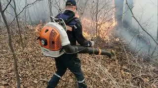 Во Владивостоке введён особый противопожарный режим