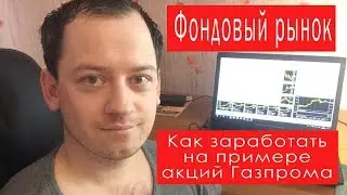 Фондовый рынок России для новичков: как здесь заработать деньги на акциях Газпрома