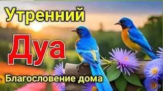 утренний дуа. дуа каждое утро