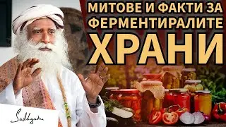 Ферментиралите храни: Какво трябва да знаете за по-добро чревно здраве / Садгуру Даршан