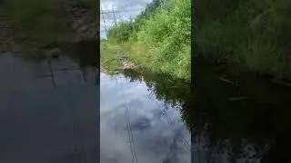 MTB river crossing fail #shorts #mtb #mountainbiking #biking