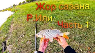 РЫБАЛКА НА РЕКЕ ИЛИ , ЖОР САЗАНА ЧАСТЬ 1