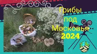 12 августа 2024 г.