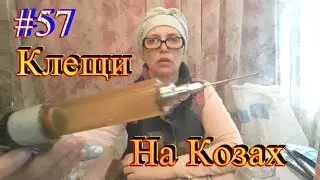 Как Мы Спасаем Коз От Клещей