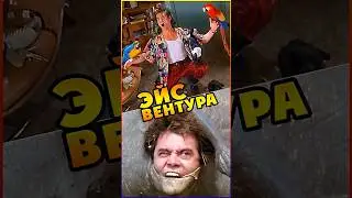 Факты о фильме ЭЙС ВЕНТУРА #jimcarrey #комедия #интересно #фильмы #кино #ностальгия #джимкерри #90s