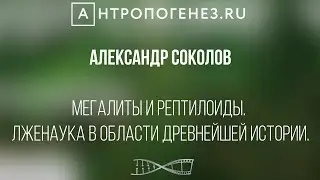 Мегалиты и Рептилоиды. Александр Соколов.