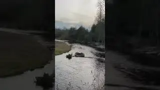 Nature Break at the ghost bridge #timelapse #nature #river #naturewalk #motherearth #sundown #mofo