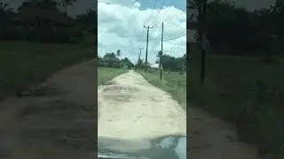 Menikmati jalan rusak #alam #viral #sawah