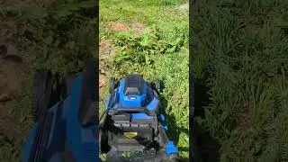 Brushless 40v kobalt electric lawnmower cutting 2ft high grass