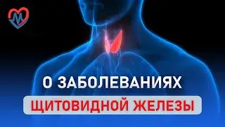 О заболеваниях щитовидной железы