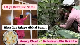 पूरी दीवाल खराब हो गईं । मनीप्लांट से हुआ नुक़सान | दिवाली की सफ़ाई | Mili Purani Yaade | @Priyartha