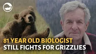 Biologist Wayne McCrory on Grizzly Bears