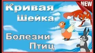 Болезни домашней птицы .Лечить или Рубить. Индюки  Куры Перепела  .