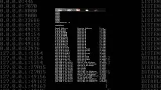 netstat Dig Command Tutorial | netstat -a | netstat -o #shorts #short #viral #viralvideo