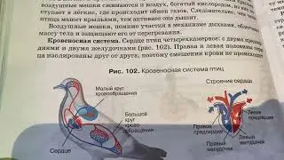 Биология/7 кл/Тихонова/Особенности внутреннего строения птиц/17.03.22