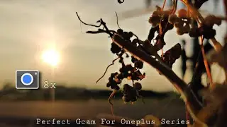 Best GCAM For OnePlus || Perfect Gcam For OnePlus 6/7/8/9/ Series 🔥