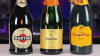 ШАМПАНСКОЕ К НОВОМУ ГОДУ 2023 (Martini Prosecco, Campo Viejo CAVA, Faustino CAVA)