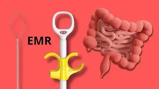 EMR. ГБУЗ «Городская больница №1 им Н.И.Пирогова» (Севастополь)