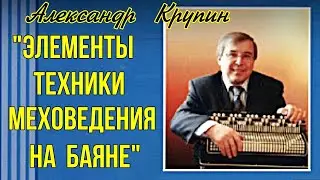 Профессор А.В.Крупин 
