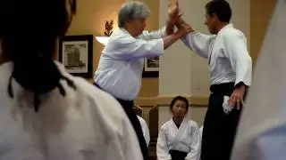 Yamada Sensei Yokomenuchi Nikyo 2